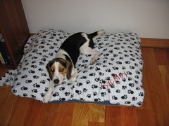 Buckley Mom Blanket